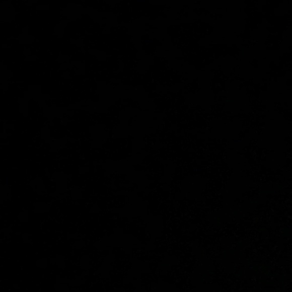 Meet your Posher, Mason - Picture 1 of 1